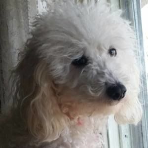 Meet your Posher, Gina